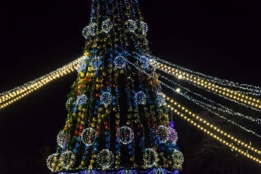 Geceleyin çok renkli ışıklarla süslenmiş Noel ağacı