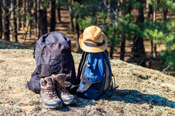 Two tourist backpacks, hiking boots and hat on the glade in pine forest. Hike concept