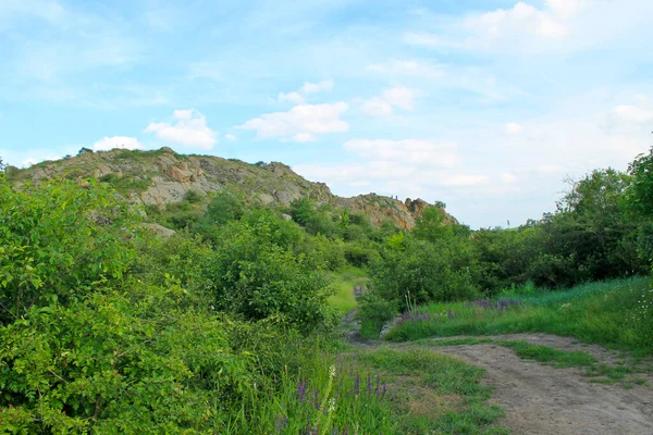 Strada Sporca Verso Rocce — Foto Stock