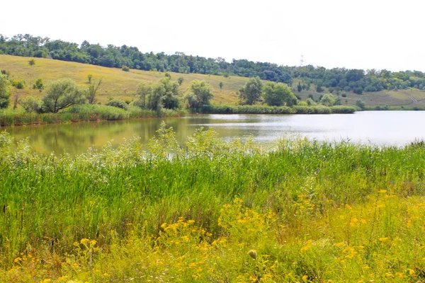 Krásné Jezero Létě — Stock fotografie