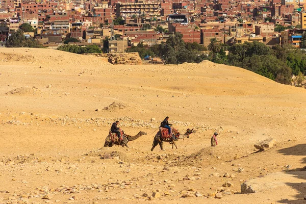 Каир Египет Декабря 2018 Года Туристы Верхом Верблюдах Плато Гиза — стоковое фото