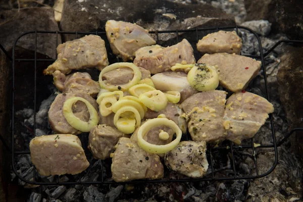 Baharatlı çiğ domuz eti. Şiş kebap hazırlığı. Kömürde marine edilmiş et.