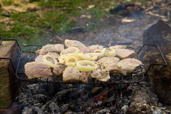 Przyprawione Surowe Mięso Wieprzowe Grillu Świeżym Powietrzu Przygotowanie Szaszłyka Marynowane — Zdjęcie stockowe