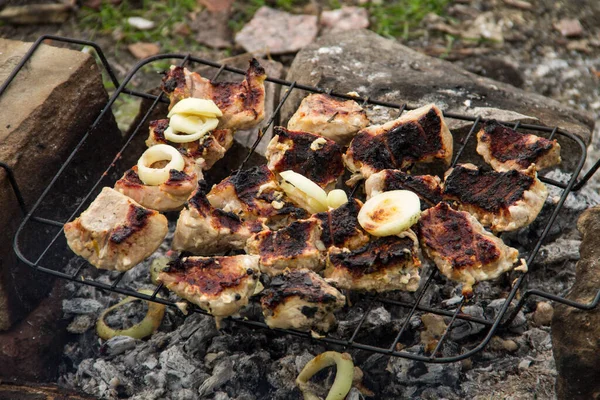 Izgarada domuz eti kızartılıyor. Kömürde et, barbekü yakın.
