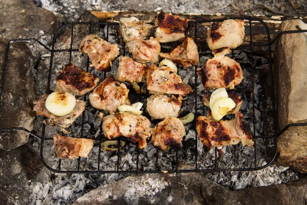 Izgarada domuz eti kızartılıyor. Kömürde et, barbekü yakın.