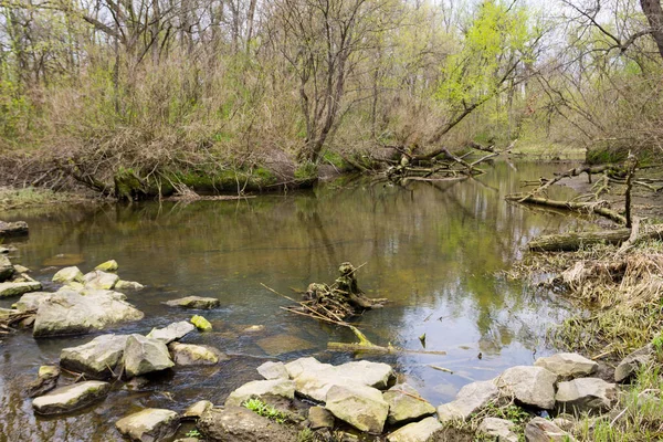 River Forest Spring — Stock Photo, Image