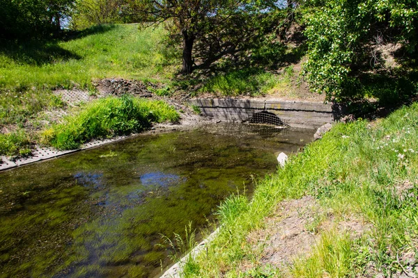 Escorra Água Canal Algas Verdes Superfície Água Poluição Ambiental — Fotografia de Stock