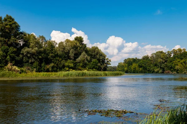 Літній Пейзаж Красивою Річкою Зеленими Деревами Блакитним Небом — стокове фото