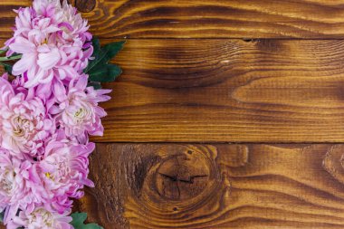 Ahşap arka planda güzel kasımpatılar. Üst görünüm, alanı kopyala