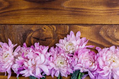 Ahşap arka planda güzel kasımpatılar. Üst görünüm, alanı kopyala