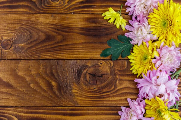 Ahşap arka planda güzel kasımpatılar. Üst görünüm, alanı kopyala