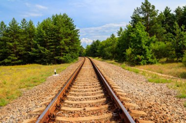 Yeşil bir çam ormanının içinden geçen tren yolu.