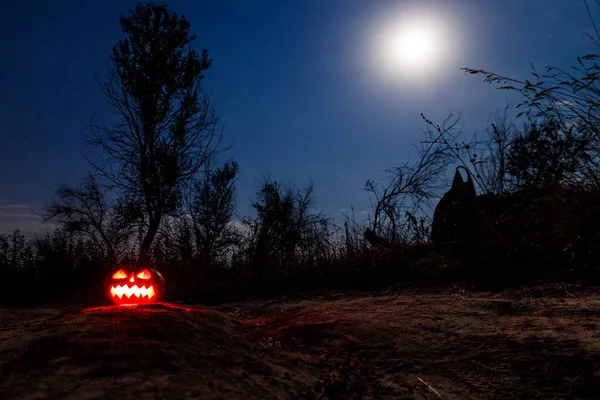 Espeluznante Calabaza Halloween Jack Linterna Con Velas Ardientes Bosque Miedo —  Fotos de Stock