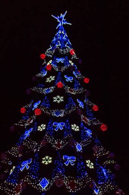 Geceleyin çok renkli ışıklarla süslenmiş Noel ağacı