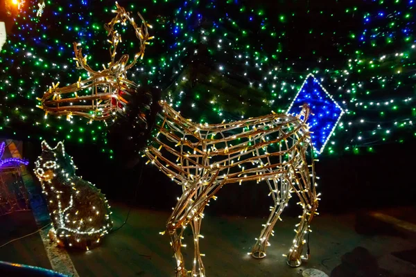 Illuminated Christmas deer at night. Decoration for Christmas and New Years holidays in a city park