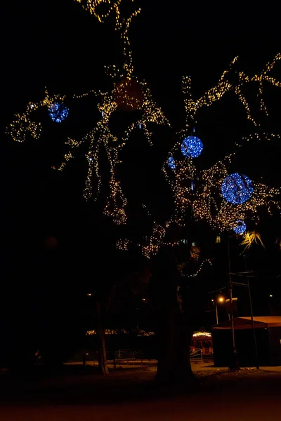 Decorated tree with multi-colored Christmas lights in city park at night