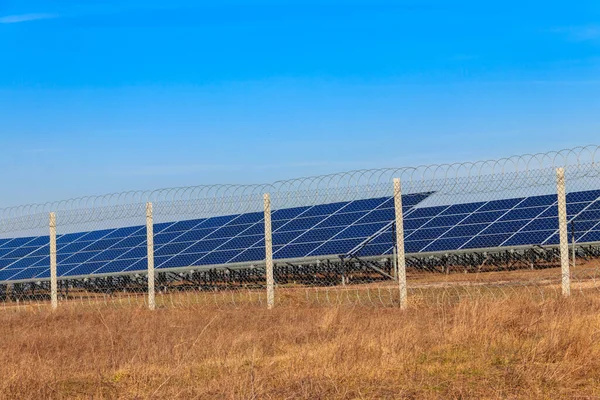 太陽光発電所の太陽光パネルの行 革新のための太陽電池モジュール代替エネルギー — ストック写真