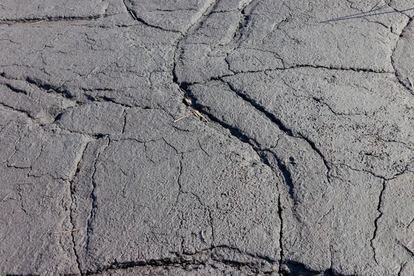 背景としての湿式亀裂地の質感 — ストック写真