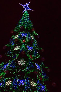 Geceleyin çok renkli ışıklarla süslenmiş Noel ağacı