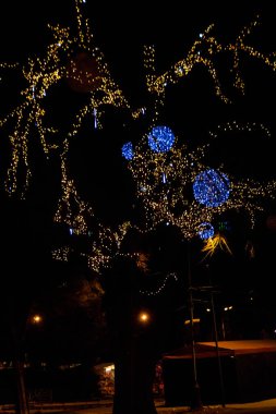 Şehir parkında çok renkli Noel ışıkları olan dekore edilmiş bir ağaç.