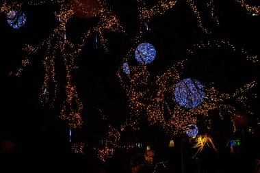 Şehir parkında çok renkli Noel ışıkları olan dekore edilmiş bir ağaç.
