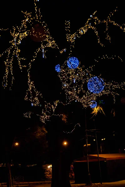 Şehir parkında çok renkli Noel ışıkları olan dekore edilmiş bir ağaç.