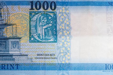 1000 Macar forint tasarısının makro çekimi