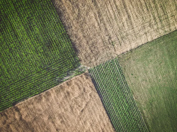 Schnittpunkt Einer Anderen Art Von Feldern Blick Direkt Von Oben — Stockfoto