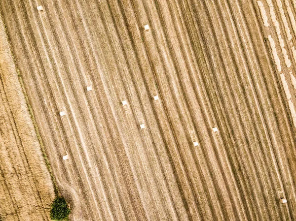 Rundballen Auf Stoppeln Blick Direkt Von Oben — Stockfoto