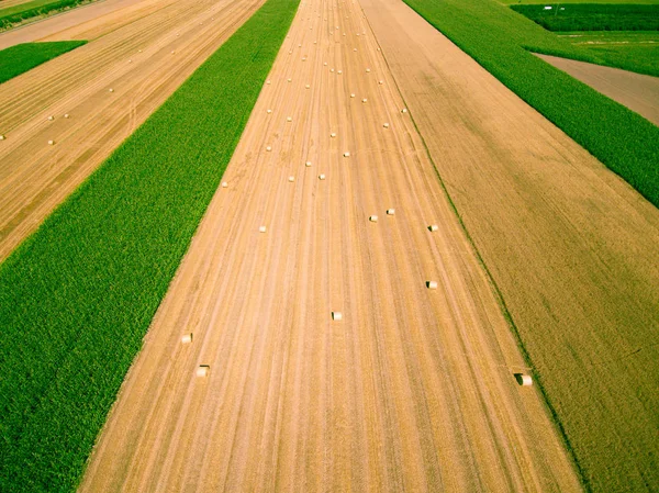 Aerial View Hay Bales Stubble Blue Cloudy Sky Diminishing Perspective — Stock Photo, Image