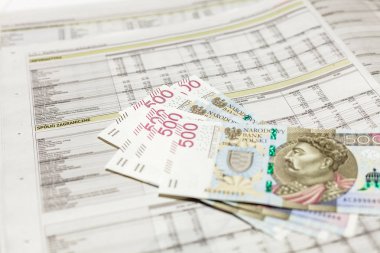 500 Pln Lirası finansal gazete ile şirketler rapor üstünde