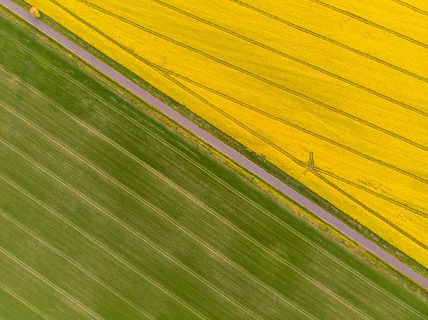 Vista Aérea Canola Amarilla Campos Grano Verde Divididos Por Una — Foto de Stock