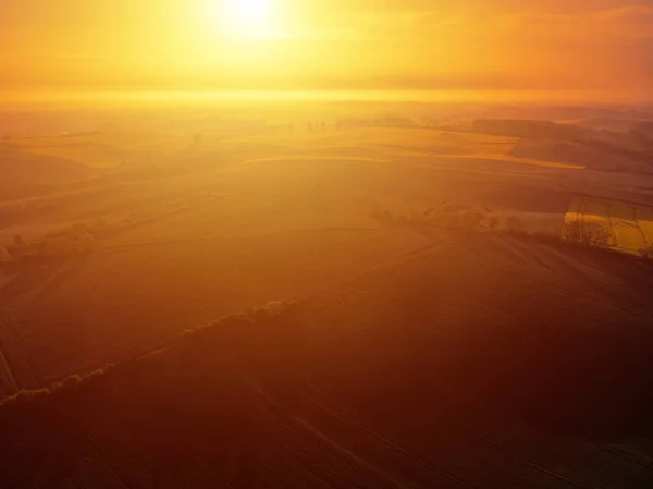 Aerial scenic view of sunrise ofer green grain field