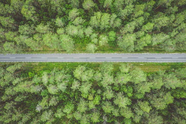 Ormanın içinden dümdüz bir yol, yukarıdan aşağıya doğru hava manzaralı bir görüntü.