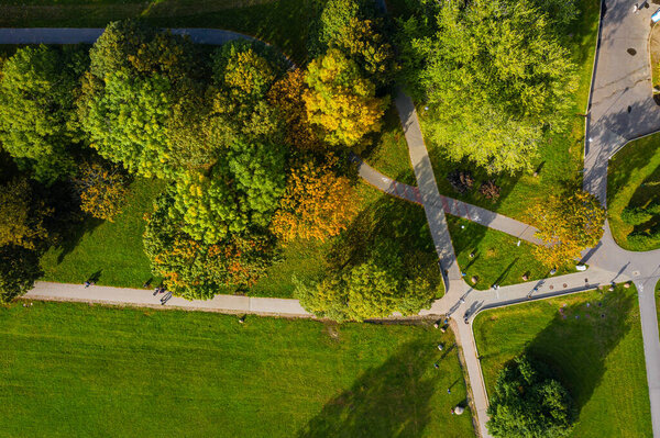 Autumn park and green lawn top down aerial view