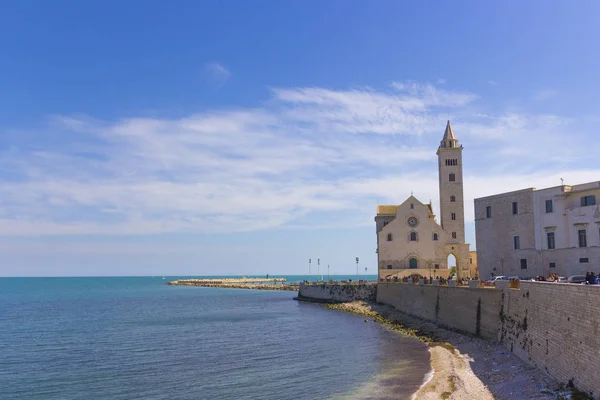 Trani Landskap Katedralen Vid Havet Och Hamnen Kajen — Stockfoto