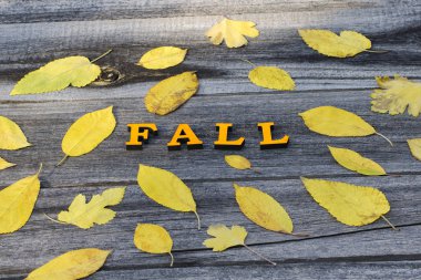 Turuncu Yazıtı düşen sarı yapraklar çerçeve, ahşap bir arka plan