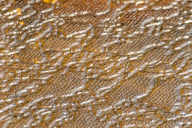 Desenli Cam, yakın çekim. Turuncu renk