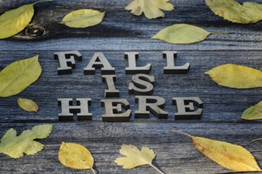 Yazıt. Sonbahar burada ahşap harflerle. Sarı yapraklar, ahşap arka plan çerçevesinde