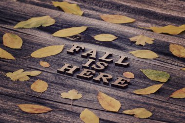 Yazıt. Sonbahar burada ahşap harflerle. Sarı yapraklar, ahşap arka plan çerçevesinde