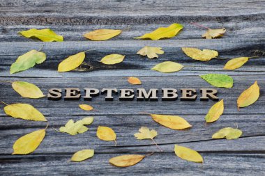 Ahşap arka plan üzerinde yazıt Eylül, çerçeve sarı yaprakları