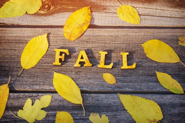 Ahşap arka plan, sarı yaprak çerçeve üzerinde yazıt Güz