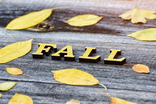 Ahşap arka plan, sarı yaprak çerçeve üzerinde yazıt Güz