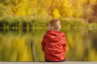 İskelede oturup elinde yaprakları kırmızı ceketli çocuk. Sonbahar, güneşli. Arkadan görünüm