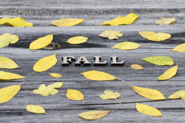 Ahşap arka plan, sarı yaprak çerçeve üzerinde yazıt Güz