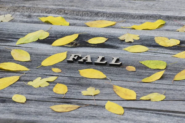Inscription Fall Wooden Background Frame Yellow Leaves — Stock Photo, Image