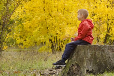 Sonbahar ormandaki bir ağaç kütüğü oturan kırmızı ceketli çocuk. Yan görünüm