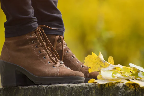 Zapatos Femeninos Marrones Muñón Follaje Amarillo Concepto Otoño — Foto de Stock