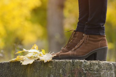 Stump, sarı yapraklar üzerinde kahverengi kadın ayakkabı. Sonbahar konsepti