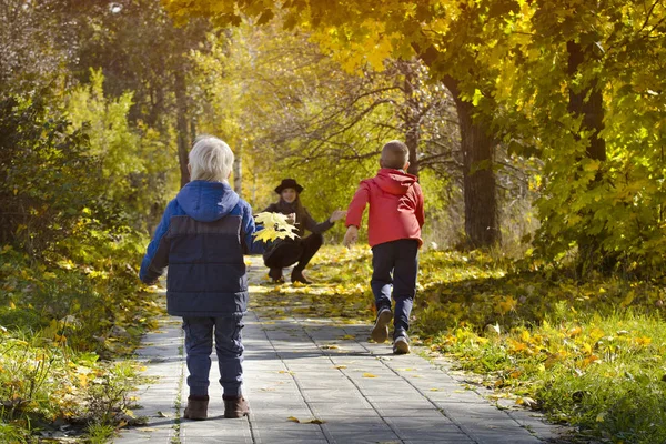 Boys running towards her mother. Autumn Park. Back view